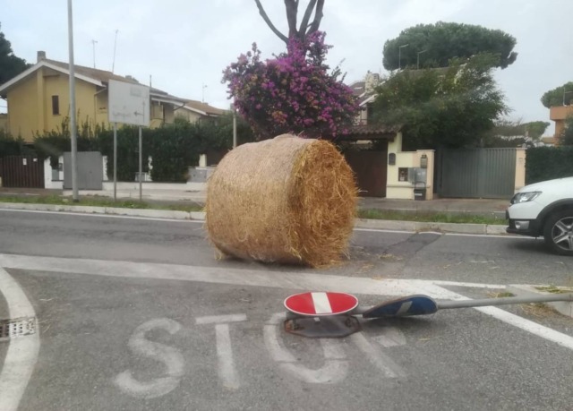 Balla di fieno sbarra la strada, motociclista la centra in pieno