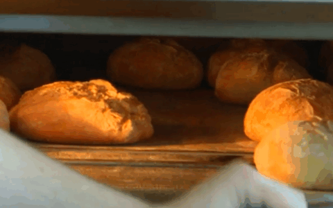 Il pane con fermenti lattici del “Granaio delle Idee” di Maserà conquista il MIT di Boston