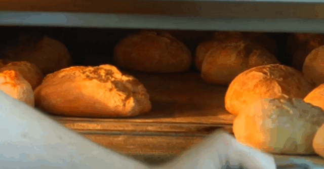 Il pane con fermenti lattici del “Granaio delle Idee” di Maserà conquista il MIT di Boston