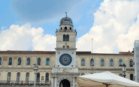 Blitz tra i banchi del mercato di piazza delle Erbe, sequestrati 70 chili di funghi