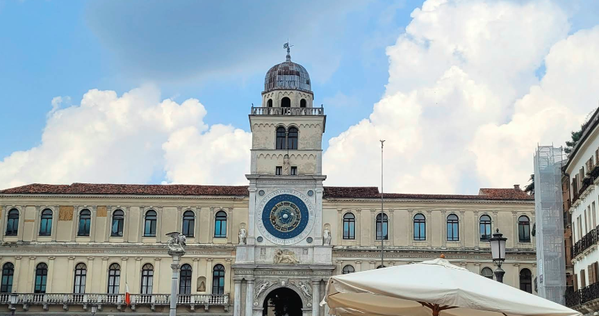 Blitz tra i banchi del mercato di piazza delle Erbe, sequestrati 70 chili di funghi