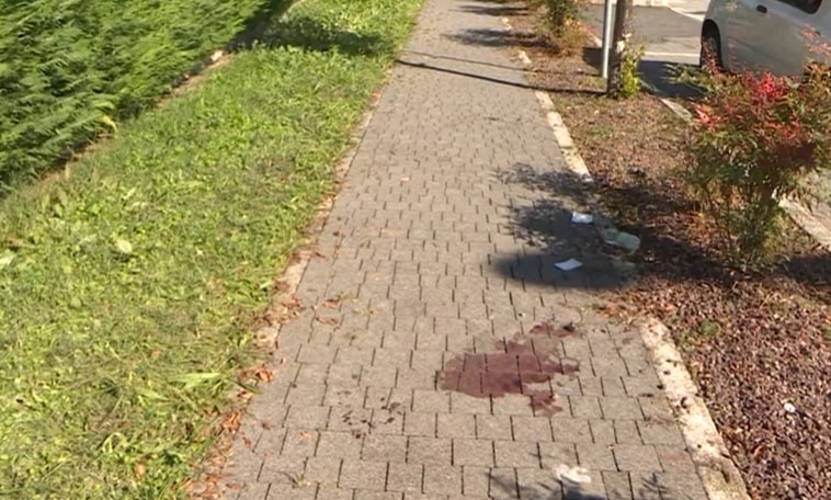 Due 23enni accoltellati mentre sedano una lite a Casalserugo. Venturini: “Queste baby gang vanno fermate”
