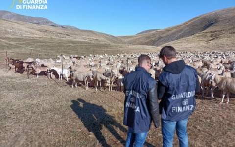 Maxi truffa ai fondi europei per l’agricoltura, sequestri per 17 milioni e 48 indagati: coinvolti anche due padovani
