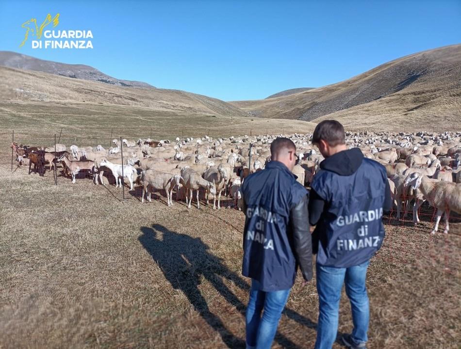 Maxi truffa ai fondi europei per l’agricoltura, sequestri per 17 milioni e 48 indagati: coinvolti anche due padovani