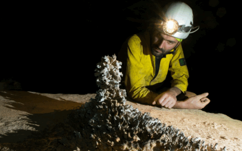 Dalle grotte del Venezuela alle rocce su Marte: un nuovo metodo per studiare ambienti estremi