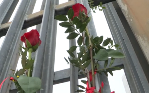 Secondo suicidio al carcere di Padova in meno di 36 ore