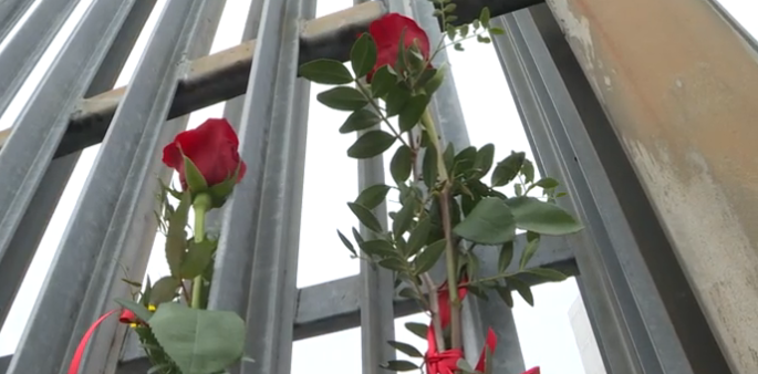 Secondo suicidio al carcere di Padova in meno di 36 ore