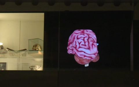 Virus e batteri: un mondo microscopico svelato al Museo di Storia della Medicina di Padova